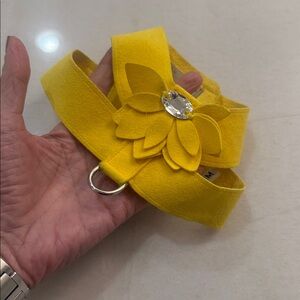 Susan Lanci dog harness